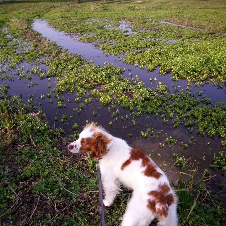 Ca9acf1d a503 4614 bbc0 b8edbaa11905 1521881518297