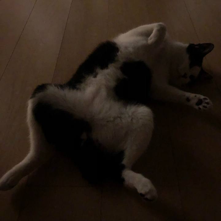 Ca9ad468 6459 4e85 9d81 56973176595f 1567251317685