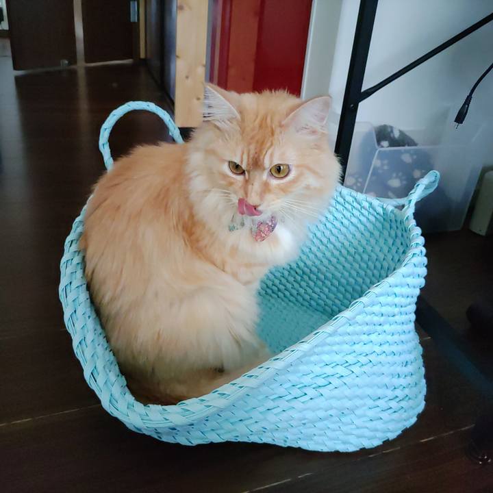 Ca9aded6 e4bc 4e3c ae8c bced5580949a 1658023504378