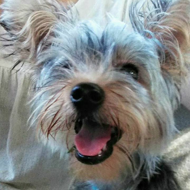 Ca9aea2a 2170 400a afa2 9382d997d110 1538388995032