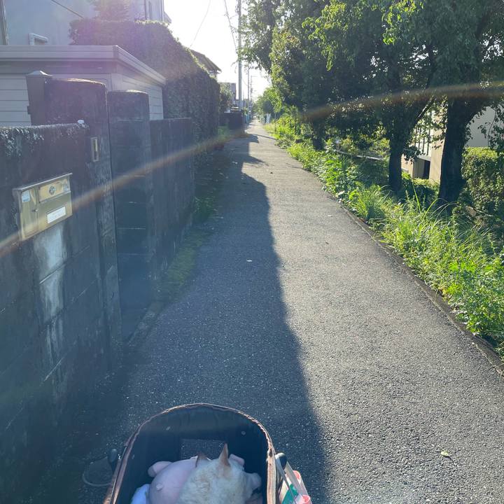 Ca9b1b4d 750a 428f ab06 399e4fcd7fd4 1663682397668