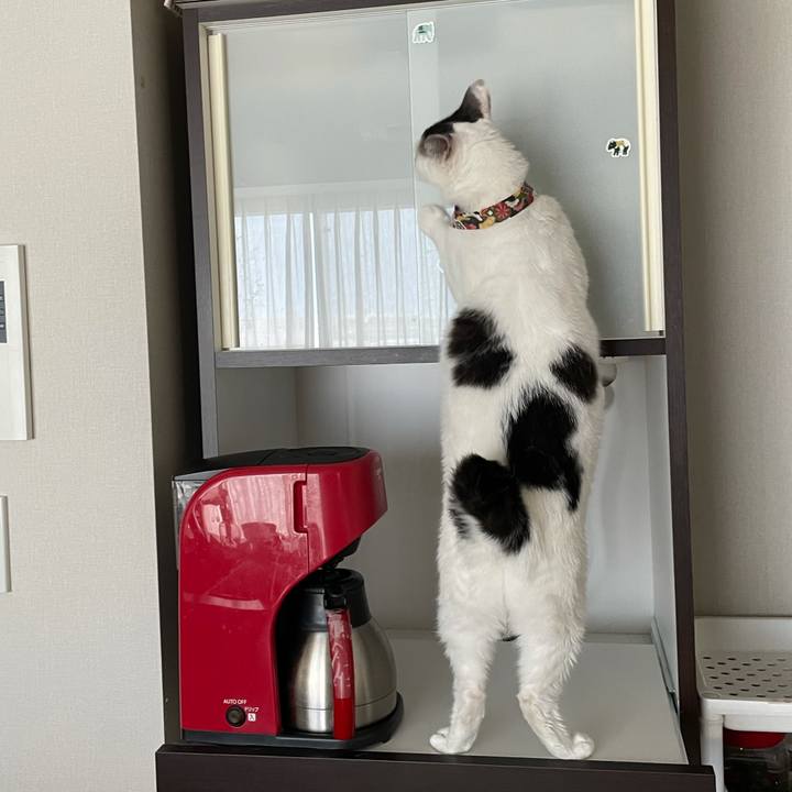 Ca9b43e5 1650 46c7 abc5 05f17f746640 1629242948440