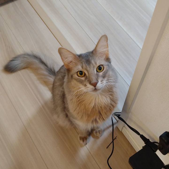 Ca9b5041 5892 4147 bbbd 2549d6d1fb93 1610969973026