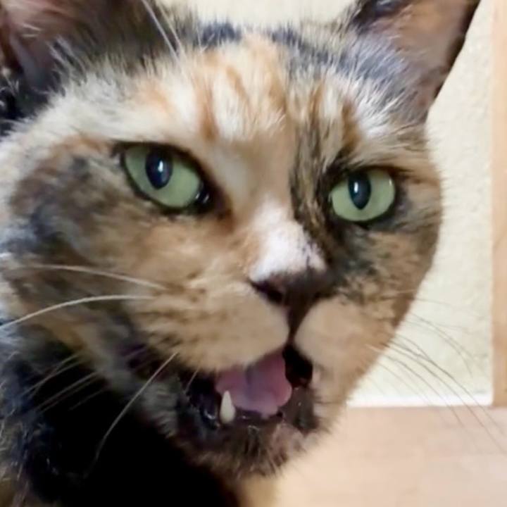 Ca9bb9b3 6a91 4205 a7ab ecefaef26a27 1753411102740