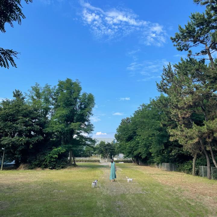 Ca9c050a 6842 41ec 9442 9aea4ba2f0e5 1626996586243