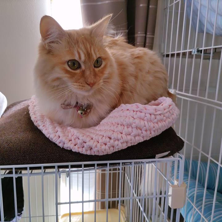 Ca9c058c 2933 4594 bf7a 4192f8c95ce7 1673345048593