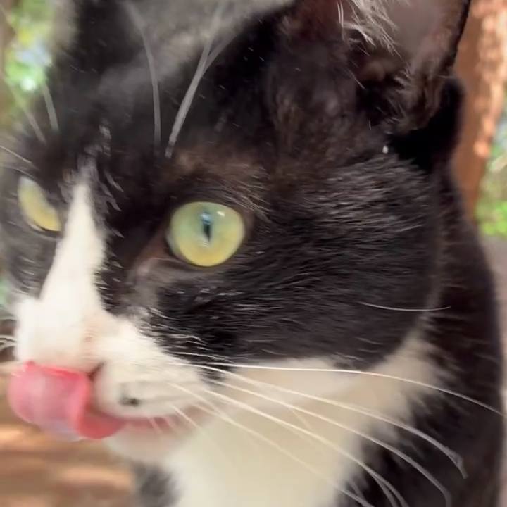 Ca9c19df 8672 49cf 87ca 56c99582071e 1761639871899