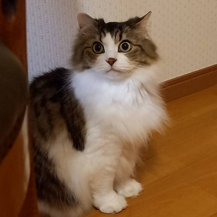 Ca9c5bb2 4487 4253 9ab3 1c738e6db8dc 1641466923512