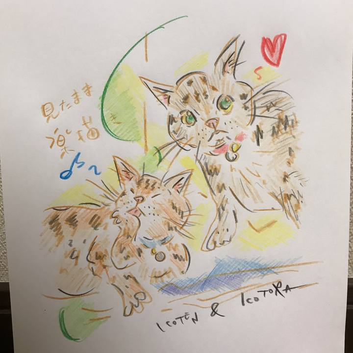 Ca9c5c50 497f 4ff9 b5d4 5ebebeed4771 1593953884847