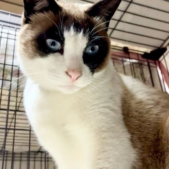 Ca9c5c5e 8d11 47b8 b457 5e031af2a4bd 1744104661607