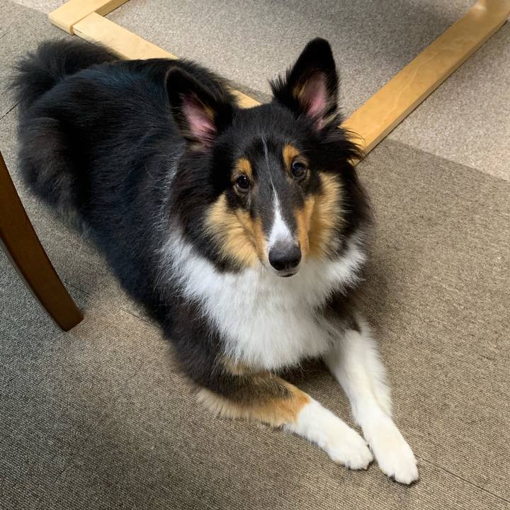 Ca9cade0 cec6 4bb1 895b 5e923b309ae6 1565821540154