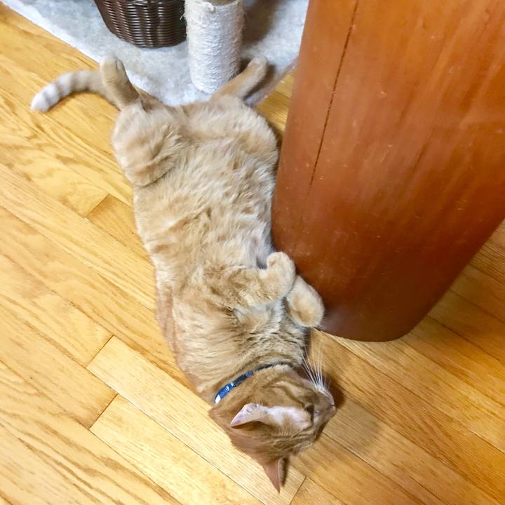 Ca9cbb03 cc13 4a2a 8d5f d92e55b965c7 1534422072096