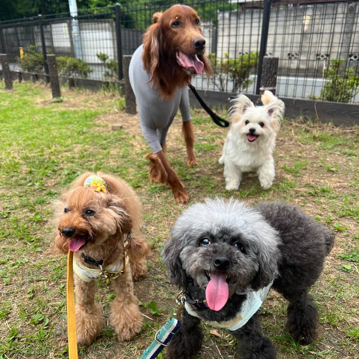 Ca9d264b 69d3 416a 956c 4767d2b55e96 1687993739697