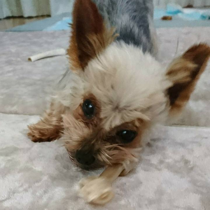 Ca9d2b1e 8215 45fd a8f3 2b42f38537bb 1517149971480