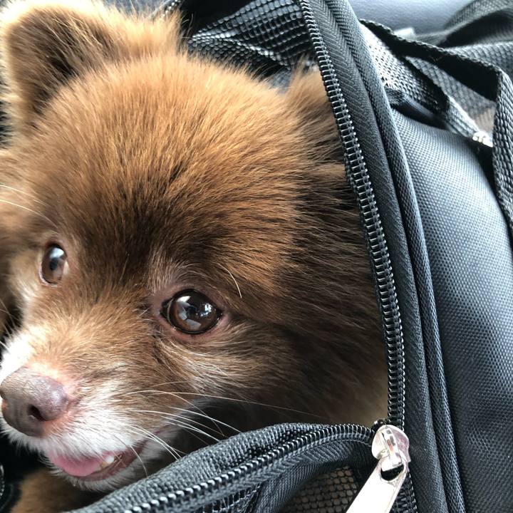 Ca9d36b1 6012 4b4d 9c6b 4a529ff7d5ea 1541296782916