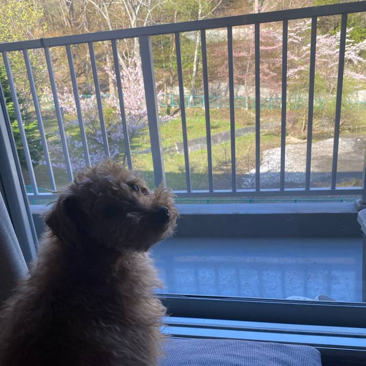 Ca9d7d9b 6e78 4c21 9fb0 b224ac3eaef0 1682546412030