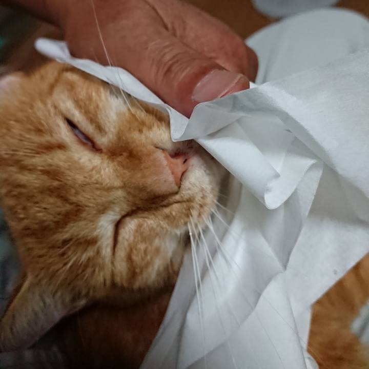 Ca9d816e c683 476c 9105 169e36d5be9c 1598824295514