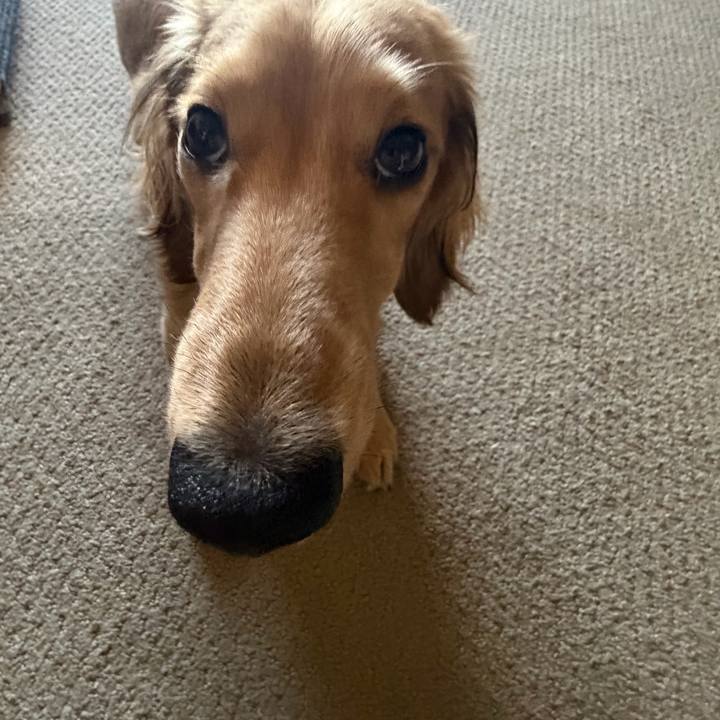 Ca9d986e ada0 4b84 854e 634860f8c28c 1771999281097