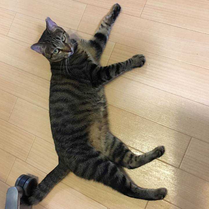 Ca9daa2a 597f 4f3c b8b2 cc004418f6f6 1540206139111