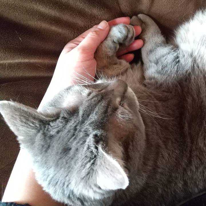 Ca9e0306 53da 4ef4 bb28 a2297600bb32 1644800284921