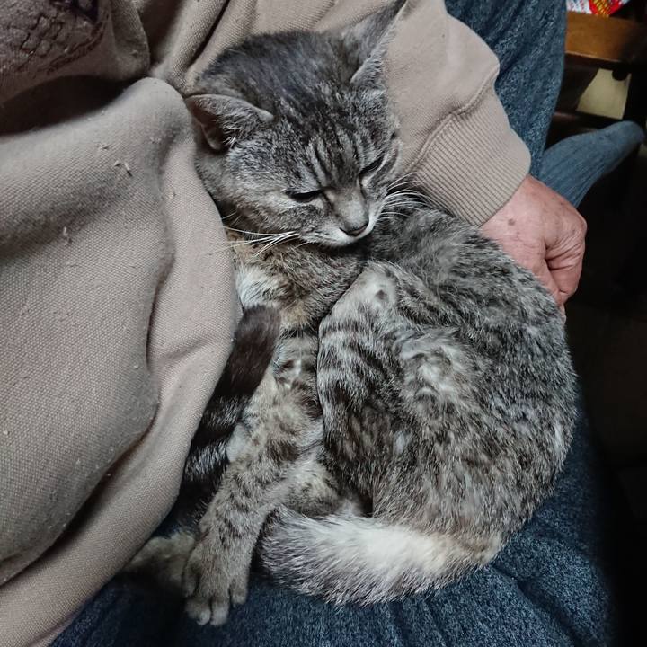 Ca9e0673 37d4 4237 95c3 5495d8576b41 1581408504286