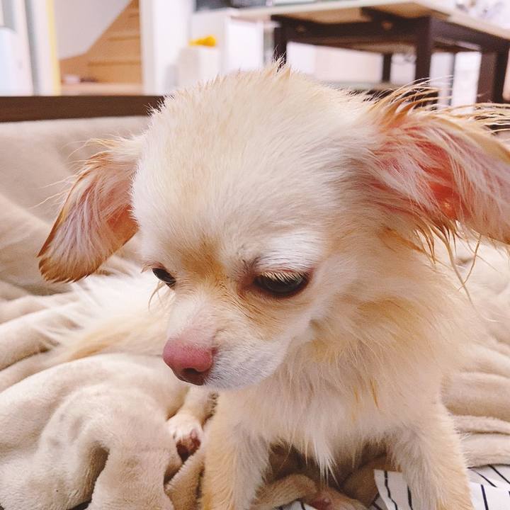 Ca9e1523 c947 4993 9875 9138ee37e661 1618299201271