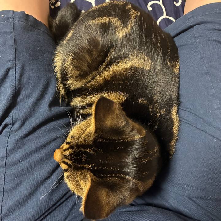 Ca9e378e dabe 41e1 9e2e dbebfbd7ea8c 1761645602903