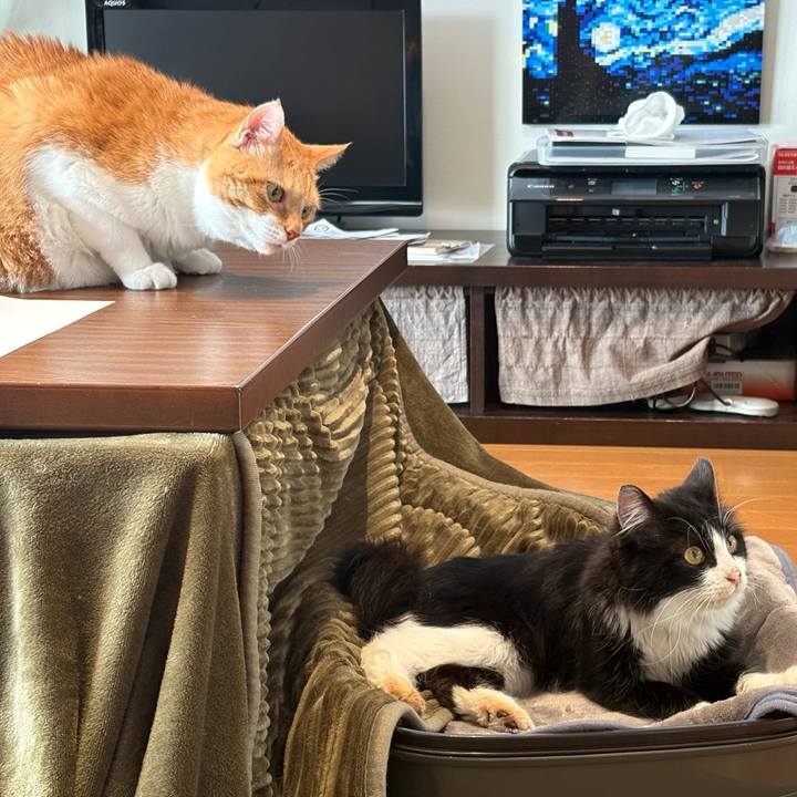 Ca9e4294 e659 472b 830c 3773bc02faed 1739658749829