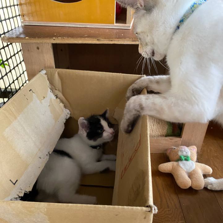 Ca9e4e53 5b31 44a7 875f 4b9f531dc519 1654305752551