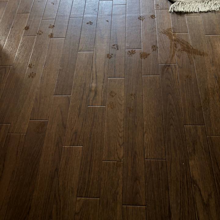 Ca9e6894 20b2 4d4d 823f d3abbcc1d868 1608341060777