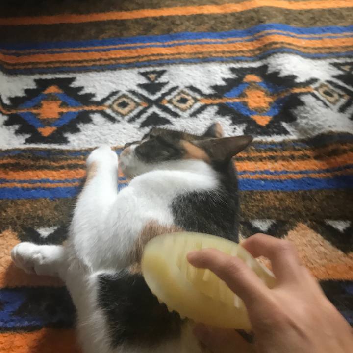 Ca9e9eed 4694 47c6 9fc2 3603bdee1be4 1514700719012