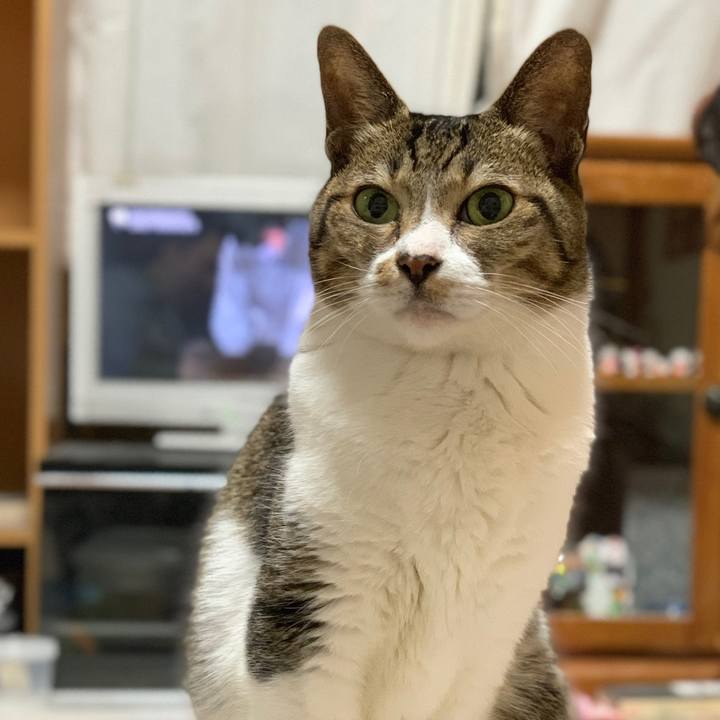 Ca9ec473 4dbc 4ec4 a2e5 47c5983aa81e 1576114545582