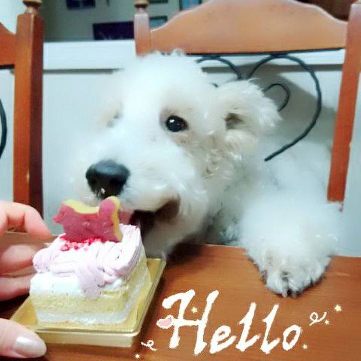 Ca9f1bdf 6207 4e7e a985 d1353a58947b 1514897143762