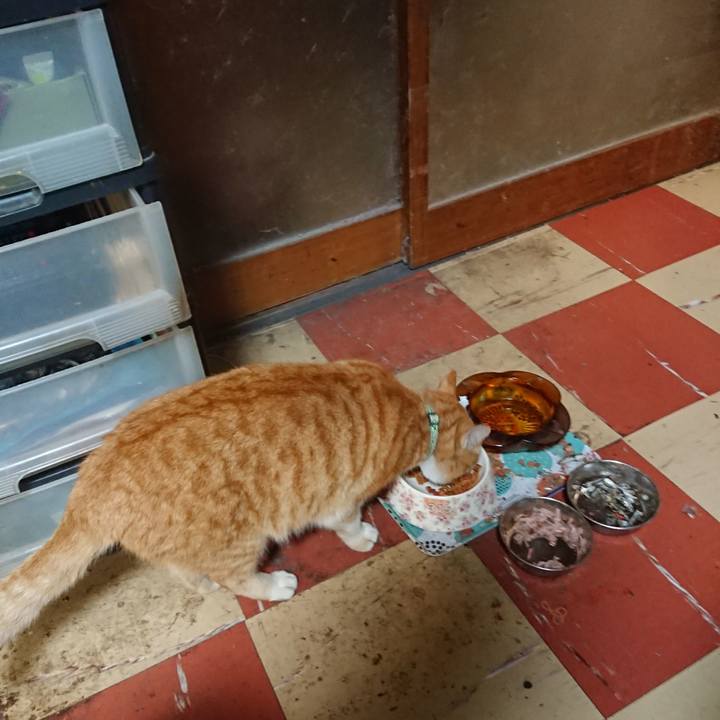 Ca9f2e6c 2c9d 4fea bcca 0a4ca64cff3e 1583747666288