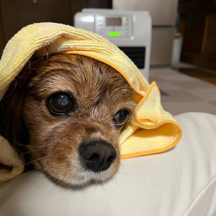 Ca9f5d9f 5ddb 47f6 8505 27488ad6f461 1766628926046