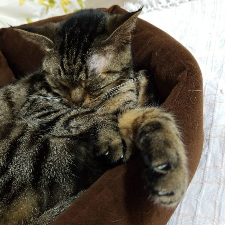 Ca9f75b9 022b 4393 b728 c7694f90373a 1581765396168