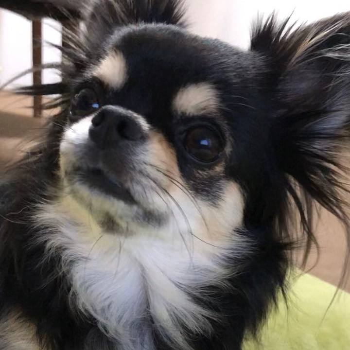 Ca9f88ec efdc 4a94 94fc bd006f92557a 1597877969370