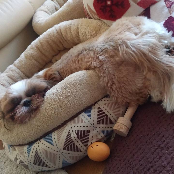 Ca9fb913 5dd3 4372 93d9 56479bd95427 1585180135646