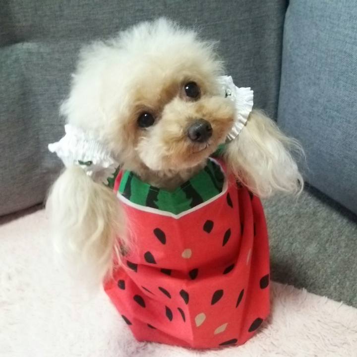 Ca9fbe10 7efe 4c1d be2f 58f3cbe045be 1561020416435