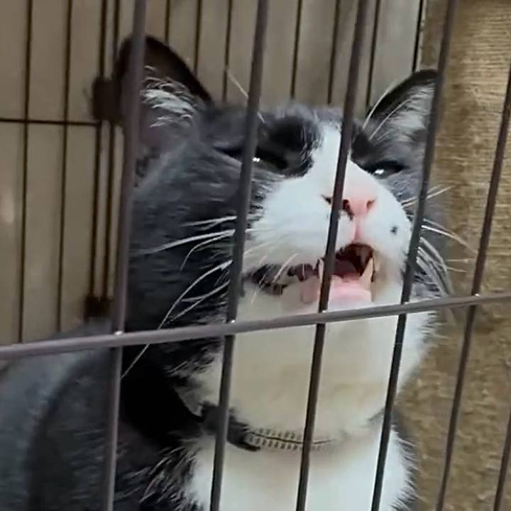 Ca9fd28c 9753 4cad b7e0 4337cbd1b0ab 1744890822470