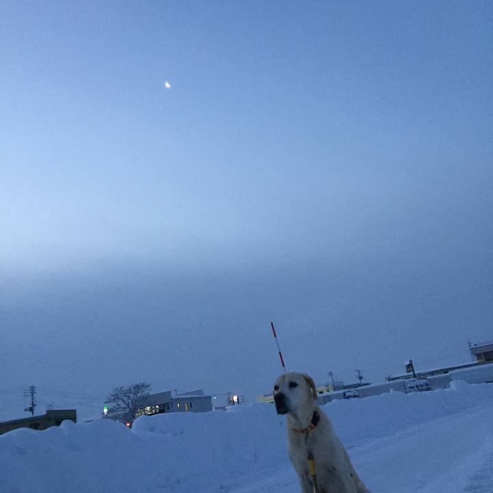 Caa006f4 b837 45f6 a8e1 4ea7d5b6a525 1515708168612