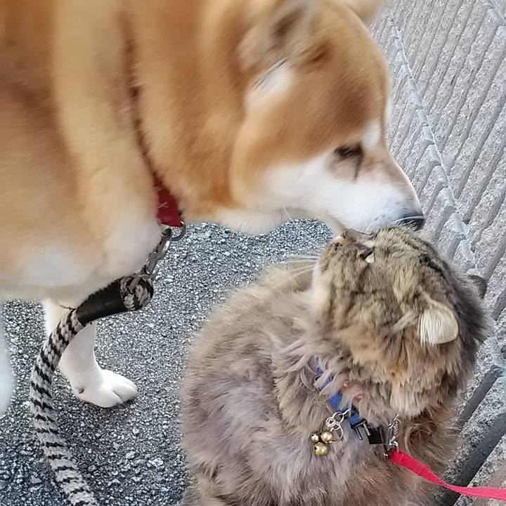 Caa00723 6d62 4acb 842d ac8b14af98c8 1709904238644