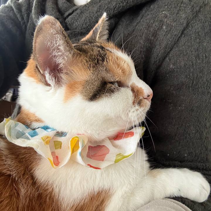 Caa02208 7cc0 4ace 870f 17b15055af68 1771302518631