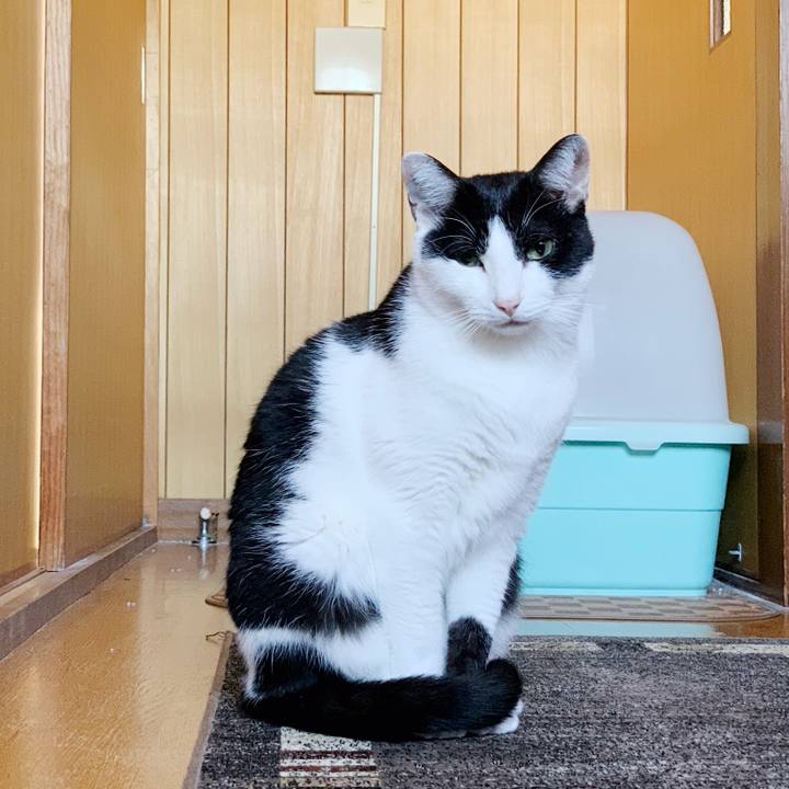 Caa036de f62a 4b84 85ae 539797aee758 1543977708981