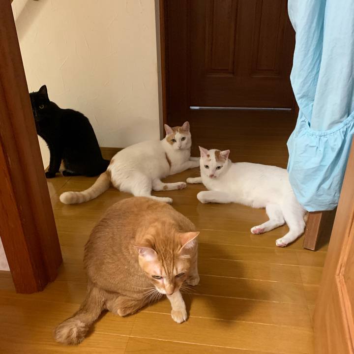 Caa0b6d9 4a79 410d ab62 040f4e900f39 1568612978370