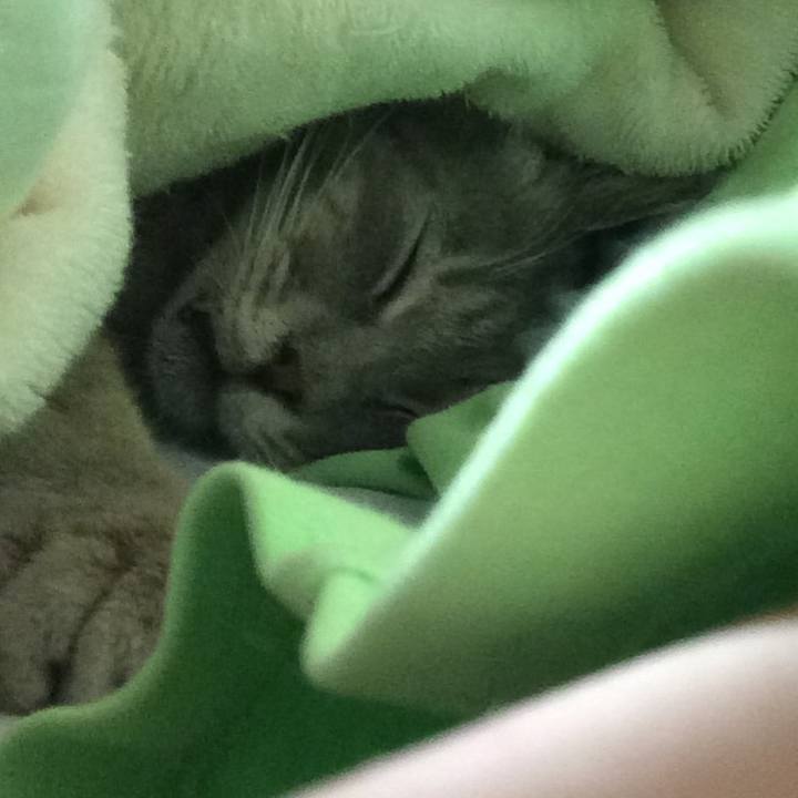 Caa0da45 328b 4877 9cc8 6043109b7870 1561197363013