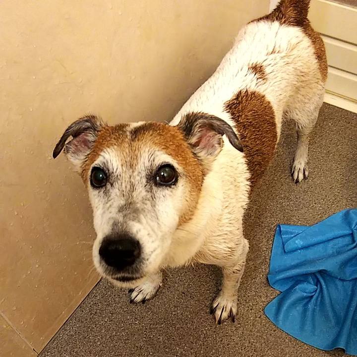 Caa0e042 9e12 4eae 9194 2fbbdd34d5c3 1563017665961