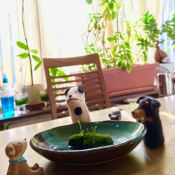 Caa0f351 fbc9 4be9 8665 c54f3f26dcc2 1550973843172