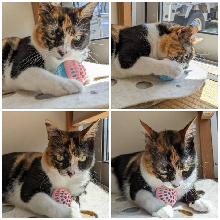 Caa11f8d 5bb6 4eae 8604 ce50178d2947 1689910946266