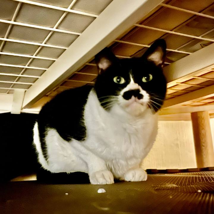 Caa12896 d12f 44f0 aecd 4e34c86a3faf 1703655147017